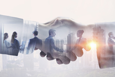 Developing Effective Public-Private Partnerships (PPPs)