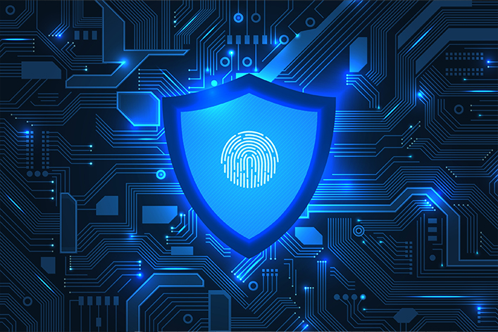 Introduction to Cyber Security